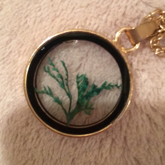 Moss Glass Window Pendant, resale 28” long chain - Picture 4 of 5